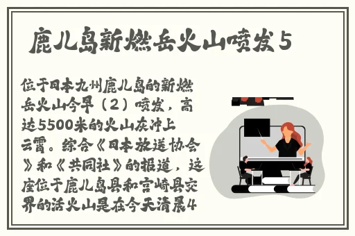 **网站导航